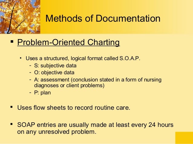 Northlakeanimalhospital Net Bark Northlakeanimalhospital Net Bark