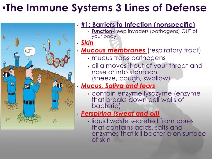 #1 donohue immune system, vaccines, and antibiotics
