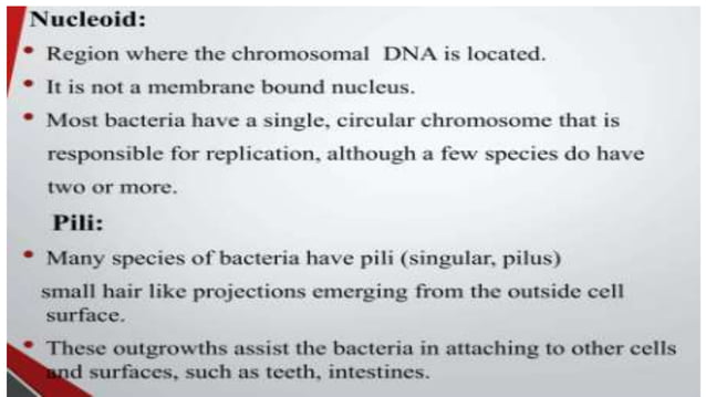 DPT - Microbiology introduction | PPTX | Biological Sciences | Science