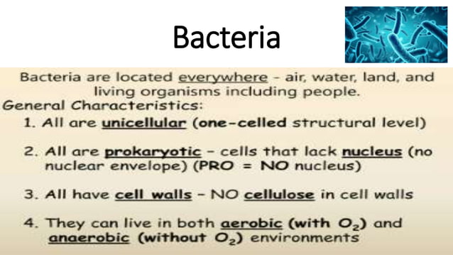 DPT - Microbiology introduction | PPTX | Biological Sciences | Science