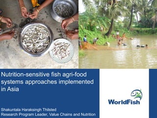 Nutrition-sensitive fish agri-food
systems approaches implemented
in Asia
Shakuntala Haraksingh Thilsted
Research Program Leader, Value Chains and Nutrition
 