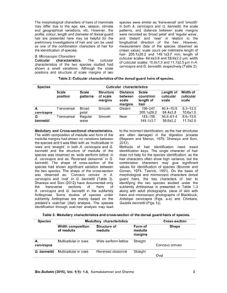 Bio Bulletin (2015), Vol. 1(1): 1-6, Kamalakannan and Sharma 3
The morphological characters of hairs of mammals
may differ due to the age, sex, season, climate
and geographical variations, etc. However, the
profile, colour, length and diameter of dorsal guard
hair are presented here may be helpful for the
preliminary investigations of hair and can be used
as one of the combination characters of hair for
the identification of species.
B. Microscopic Characters
Cuticular characteristics. The cuticular
characteristics of the two species studied had
shown a small variations. Although the scale
positions and structure of scale margins of two
species were similar as ‘transversal’ and ‘smooth’
in both A. cervicapra and G. bennettii, the scale
patterns, and distance between scale margins
were recorded as ‘broad petal’ and ‘regular wave’,
and ‘distant’ and ‘near’ in relation to the
longitudinal direction of the hair. However,
measurement data of the species observed as
(mean value): scale count per millimetre length of
hair- 205.1±26.2 and 149.1±3.7 mm; length of
cuticular scales- 64.4±3.8 and 58.6±2.2 µm; width
of cuticular scales: 10.6±1.5 and 11.7±2.5 µm in A.
cervicapra and G. bennettii, respectively (Table 2).
Table 2: Cuticular characteristics of the dorsal guard hairs of species.
Medullary and Cross-sectional characteristics.
The width composition of medulla and form of the
medulla margins had shown no variations between
the species and it was filled with as ‘multicellular in
rows’ and ‘straight’, in both A. cervicapra and G.
bennettii and the structure of medulla of the
species was observed as ‘wide aeriform lattice’ in
A. cervicapra and as ‘Reversed cloisonné’ in G.
bennettii. The shape of cross-section of the
species had shown significant variation between
the two species. The shape of the cross-section
was observed as: ‘Concavo convex’ in A.
cervicapra and ‘oval’ in G. bennettii (Table 3).
Dharaiya and Soni (2012) have documented only
the transverse sections of hairs of
A. cervicapra and G. bennettii in the subfamily
Antilopinae. Some studies of species under
subfamily Antilopinae are mainly based on the
predator’s scat-hair (diet) analysis. The species
identification through scat-hair analysis may lead
to the incorrect identification, as the hair structures
are often damaged in the digestion process
(Rajaram and Manon, 1975; Dharaiya and Soni,
2012).
Methods of hair identification need exact
identification keys. The single character of hair
does not help for the species identification, as the
hair characters often show high variance, but the
combination characters may give significant
values for identification of species (Brunner and
Coman, 1974; Teerink, 1991). On the basis of
morphological and microscopic characters dorsal
guard hairs, the key characters of hair to
identifying the two species studied under the
subfamily Antilopinae is presented in Table 1-3
along with adult photographs, piece of skin with
hairs and microscopic photographs of Blackbuck,
Antelope cervicapra (Figs. a-e) and Chinkara,
Gazella bennettii (Figs. f-j).
Table 3: Medullary characteristics and cross-section of the dorsal guard hairs of species.
Species Cuticular characteristics
Scale
position
Scale
patterns
Structure
of scale
margins
Distance
between
scale
margins
Scale
count/mm
length of
hair
Length of
cuticular
scale
Width of
cuticular
scale
A.
cervicapra
Transversal Broad
petal
Smooth Distant 156–247
205.1±26.2
60.4–70.9
64.4±3.8
8.3–13.5
10.6±1.5
G.
bennettii
Transversal Regular
wave
Smooth Near 143–156
149.1±3.7
56.6–61.4
58.6±2.2
8.9–13.6
11.7±2.5
Species Medullary characteristics Cross-section
Cross-section
Width composition
of medulla
Structure of
medulla
Form of
medulla
margins
Shape
A.
cervicapra
Multicellular in rows Wide aeriform lattice Straight
Concavo convex
G. bennettii Multicellular in rows Reversed cloisonné Straight
Oval
 