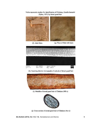 Bio Bulletin (2015), Vol. 1(1): 1-6, Kamalakannan and Sharma 5
 