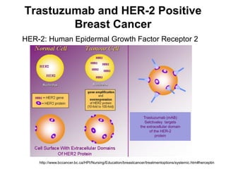 Trastuzumab and HER-2 Positive
Breast Cancer
HER-2: Human Epidermal Growth Factor Receptor 2

Trastuzumab (mAB)
Selctivaley targets
the extracellular domain
of the HER-2
protein

http://www.bccancer.bc.ca/HPI/Nursing/Education/breastcancer/treatmentoptions/systemic.htm#herceptin

 