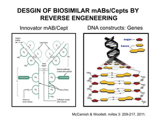DESGIN OF BIOSIMILAR mABs/Cepts BY
REVERSE ENGENEERING
Innovator mAB/Cept

DNA constructs: Genes

McCamish & Woollett. mAbs 3: 209-217, 2011.

 