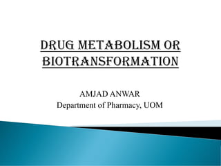AMJAD ANWAR
Department of Pharmacy, UOM
 