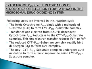 Drug metabolism or Biotransformation | PDF