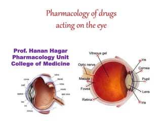 Prof. Hanan Hagar
Pharmacology Unit
College of Medicine
Pharmacology of drugs
acting on the eye
 