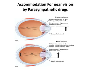 1) drugs acting on the eye of humans.ppt