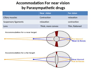 Pharmacology of Drugs acting on the eye.ppt