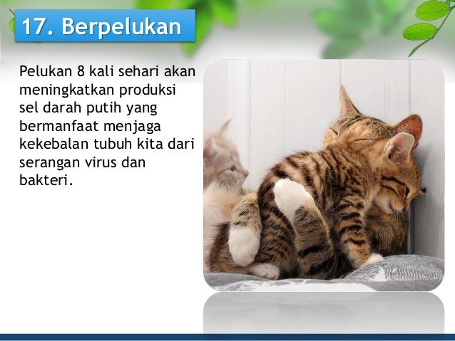 Seminar kesehatan 18 tips untuk hidup sehat berkualitas 