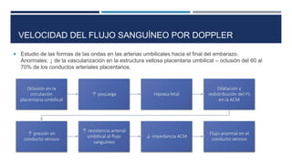  Estudio de las formas de las ondas en las arterias umbilicales hacia el final del embarazo.
Anormales: ↓ de la vascularización en la estructura vellosa placentaria umbilical – oclusión del 60 al
70% de los conductos arteriales placentarios.
VELOCIDAD DEL FLUJO SANGUÍNEO POR DOPPLER
 