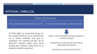 ARTERIAL UMBILICAL
 