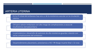 ARTERIA UTERINA
 