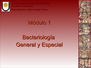 Universidad Nacional del Nordeste
Facultad de Medicina
Especialización en Bacteriología Clínica




                 Módulo 1

       Bacteriología
     General y Especial
 