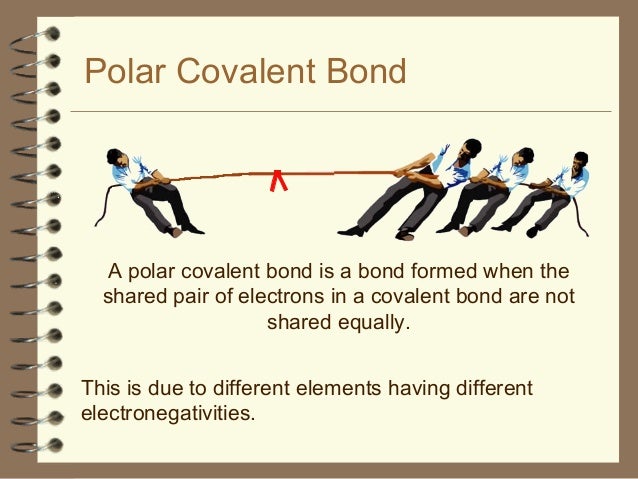 polar covalent bond