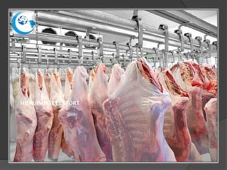 HİLAL İMPORTEXPORT
 