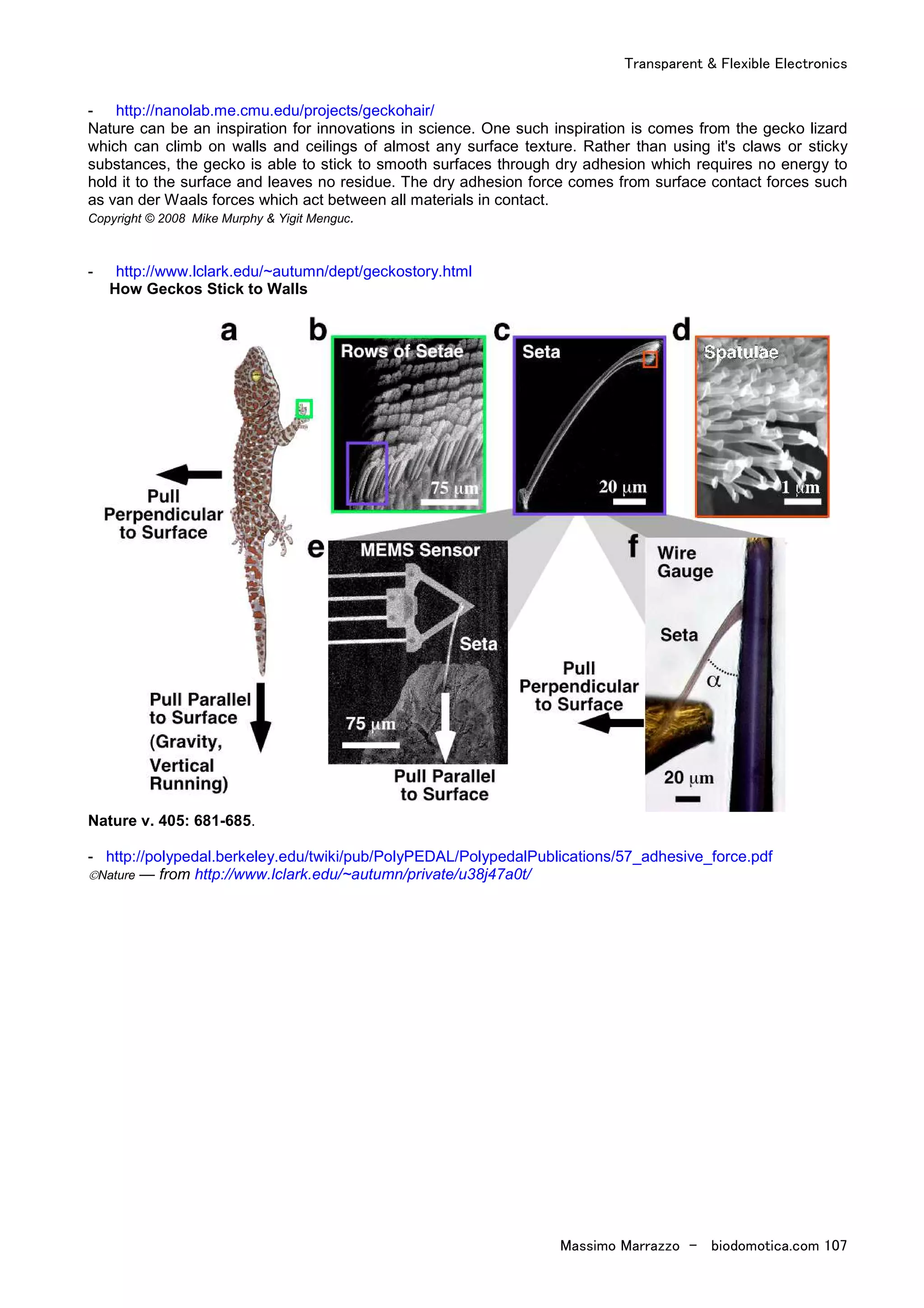 Transparent & Flexible Electronics
Massimo Marrazzo - biodomotica.com 107
- http://nanolab.me.cmu.edu/projects/geckohair/
Nature can be an inspiration for innovations in science. One such inspiration is comes from the gecko lizard
which can climb on walls and ceilings of almost any surface texture. Rather than using it's claws or sticky
substances, the gecko is able to stick to smooth surfaces through dry adhesion which requires no energy to
hold it to the surface and leaves no residue. The dry adhesion force comes from surface contact forces such
as van der Waals forces which act between all materials in contact.
Copyright © 2008 Mike Murphy & Yigit Menguc.
- http://www.lclark.edu/~autumn/dept/geckostory.html
How Geckos Stick to Walls
Nature v. 405: 681-685.
- http://polypedal.berkeley.edu/twiki/pub/PolyPEDAL/PolypedalPublications/57_adhesive_force.pdf
©Nature — from http://www.lclark.edu/~autumn/private/u38j47a0t/
 