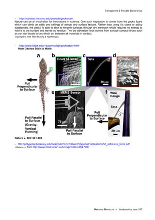 Transparent & Flexible Electronics
Massimo Marrazzo - biodomotica.com 107
- http://nanolab.me.cmu.edu/projects/geckohair/
Nature can be an inspiration for innovations in science. One such inspiration is comes from the gecko lizard
which can climb on walls and ceilings of almost any surface texture. Rather than using it's claws or sticky
substances, the gecko is able to stick to smooth surfaces through dry adhesion which requires no energy to
hold it to the surface and leaves no residue. The dry adhesion force comes from surface contact forces such
as van der Waals forces which act between all materials in contact.
Copyright © 2008 Mike Murphy & Yigit Menguc.
- http://www.lclark.edu/~autumn/dept/geckostory.html
How Geckos Stick to Walls
Nature v. 405: 681-685.
- http://polypedal.berkeley.edu/twiki/pub/PolyPEDAL/PolypedalPublications/57_adhesive_force.pdf
©Nature — from http://www.lclark.edu/~autumn/private/u38j47a0t/
 