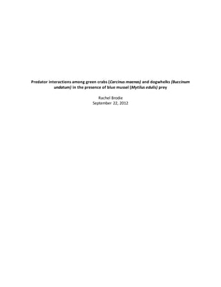 Predator interactions among green crabs (Carcinus maenas) and dogwhelks (Buccinum
undatum) in the presence of blue mussel (Mytilus edulis) prey
Rachel Brodie
September 22, 2012
 