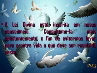 A Lei Divina está inscrita em nossa consciência. Consultemo-la mais constantemente, a fim de evitarmos levar para a outra vida o que deve ser resolvido nesta.  