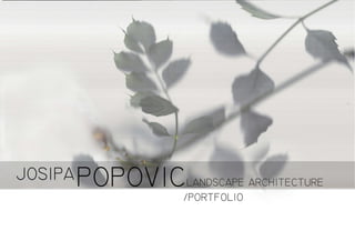 Josipa Popovic_PORTFOLIO