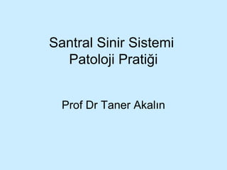 Santral Sinir Sistemi
Patoloji Pratiği
Prof Dr Taner Akalın
 