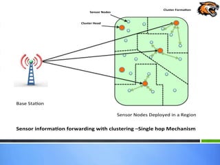 Base Sta on
Sensor Nodes Deployed in a Region
Sensor informa on forwarding with clustering –Single hop Mechanism
Cluster Forma on
Cluster Head
Sensor Nodes
 