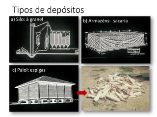 Tipos de depósitos
c) Paiol: espigas
a) Silo: à granel b) Armazéns: sacaria
 
