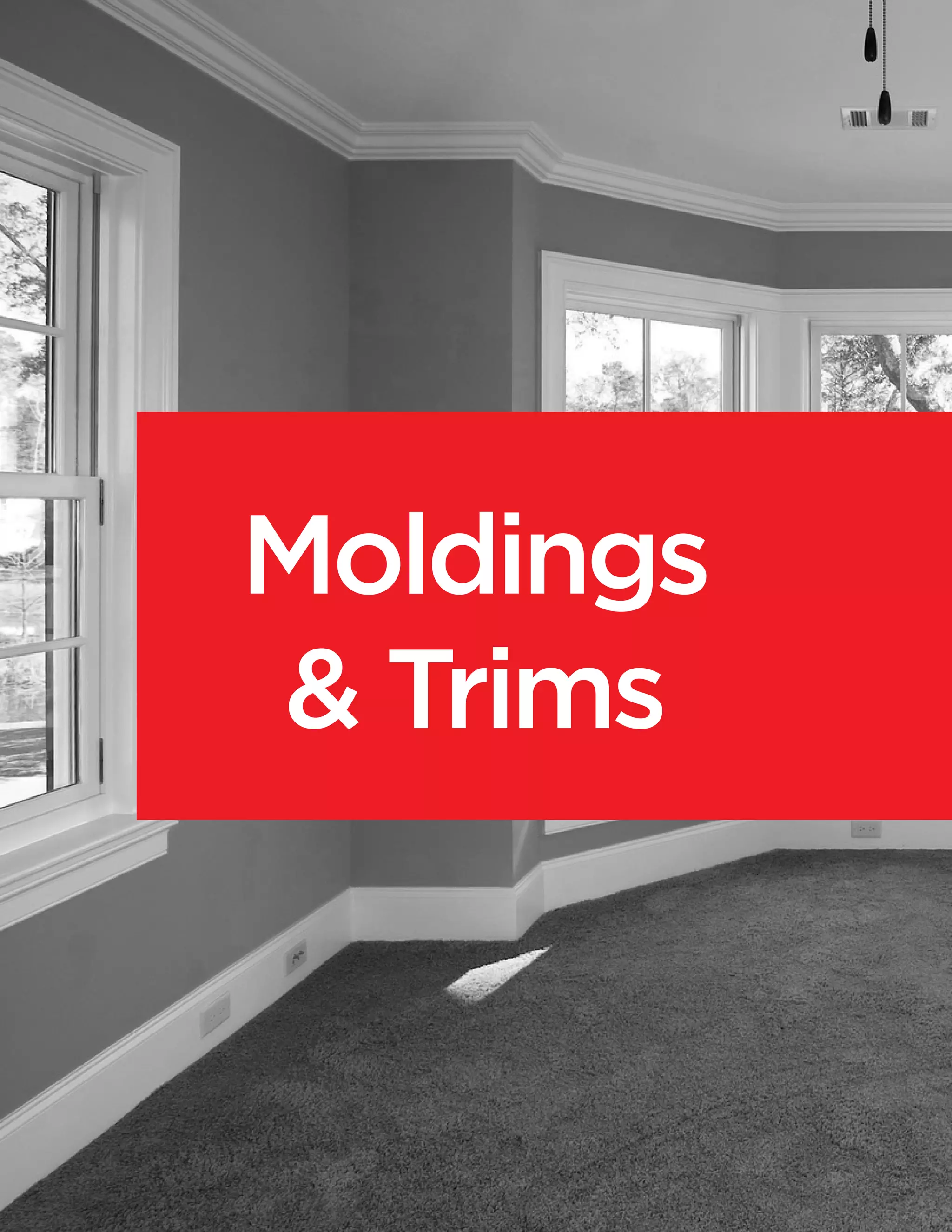 Moldings
& Trims
 