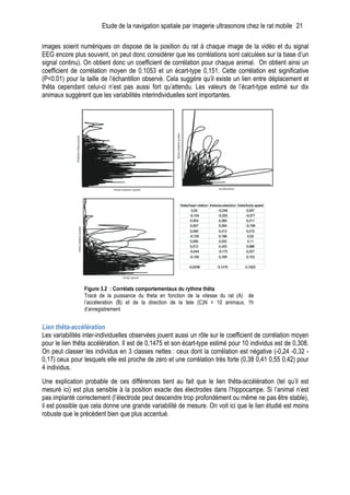 Etude de la navigation spatiale par imagerie ultrasonore chez le rat mobile 21
images soient numériques on dispose de la position du rat à chaque image de la vidéo et du signal
EEG encore plus souvent, on peut donc considérer que les corrélations sont calculées sur la base d’un
signal continu). On obtient donc un coefficient de corrélation pour chaque animal. On obtient ainsi un
coefficient de corrélation moyen de 0.1053 et un écart-type 0,151. Cette corrélation est significative
(P<0.01) pour la taille de l’échantillon observé. Cela suggère qu’il existe un lien entre déplacement et
thêta cependant celui-ci n’est pas aussi fort qu’attendu. Les valeurs de l’écart-type estimé sur dix
animaux suggèrent que les variabilités interindividuelles sont importantes.
	
  
	
  
	
  
Lien thêta-accélération
Les variabilités inter-individuelles observées jouent aussi un rôle sur le coefficient de corrélation moyen
pour le lien thêta accélération. Il est de 0,1475 et son écart-type estimé pour 10 individus est de 0,308.
On peut classer les individus en 3 classes nettes : ceux dont la corrélation est négative (-0,24 -0,32 -
0,17) ceux pour lesquels elle est proche de zéro et une corrélation très forte (0,38 0,41 0,55 0,42) pour
4 individus.
Une explication probable de ces différences tient au fait que le lien thêta-accélération (tel qu’il est
mesuré ici) est plus sensible à la position exacte des électrodes dans l’hippocampe. Si l’animal n’est
pas implanté correctement (l’électrode peut descendre trop profondément ou même ne pas être stable),
il est possible que cela donne une grande variabilité de mesure. On voit ici que le lien étudié est moins
robuste que le précédent bien que plus accentué.
Figure 3.2 : Corrélats comportementaux du rythme thêta
Tracé de la puissance du theta en fonction de la vitesse du rat (A) de
l’accéleration (B) et de la direction de la tete (C)N = 10 animaux, 1h
d’enregistrement
 