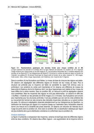 24 Mémoire M2 CogMaster - Antoine BERGEL
	
  
Figure 3.4 : Représentations graphiques des données brutes pour chaque condition (A) et (M)
La ligne supérieure est associée à la condition (M) et la ligne inférieure est associée à la condition (A). On a regroupé
l’image moyenne pour chaque pixels sur les 500 images [A, E]. Les fluctuations temporelles des 12 variables aléatoires sont
données sur les figures [B, F]. Les histogrammes des figures [C, G] donnent le nombre de pixels par région en fonction de
l’intensité. Les graphes [D, G] donnent l’écart-type de chaque pixel en fonction de sa valeur moyenne. N = 500 images.
Code couleur : (bleu, cortex), (rouge, hippocampe), (vert, thalamus), (noir, moyenne des 12 régions).
Dans la condition (A) les fluctuations sont faibles. Le niveau de base de chacune des régions est stable.
On observe une ségrégation des différentes régions en fonction de leur niveau de base. Plus la
structure est profonde plus la moyenne est faible (la sensibilité du signal fUS diminue avec la
profondeur). Les variations du cortex sont importantes et l’on observe une différence de niveaux de
base entre le thalamus droit et le thalamus droit. Les deux hippocampes sont stables et leur niveau de
base diffère de la même manière. Dans la condition (M), on retrouve le profil de ségrégation observé
sous anesthésie. Mais les moyennes des régions ne sont pas stationnaires : on observe en effet des
« bouffées » d’activité sur des périodes de 40-50 images (2 à 3 minutes). Ces fluctuations sont encore
plus importantes pour les structures profondes. Il est peu probable que ceci soit dû à des artefacts liés
au mouvement de l’animal car cela concerne des intensités moyennées calculées sur un grand nombre
de pixels. On retrouve la ségrégation observée précédemment sur les histogrammes de répartition. La
distribution de l’écart-type par rapport à la moyenne (basés sur l’estimation dans l’échantillon observé)
donne une mesure de la variabilité des pixels observés. On observe une réduction de l’étendue de ce
nuage de points dans la condition (A). Ainsi dans la condition (M), la classification statistique par région
est plus évidente alors que la distribution a tendance à s’uniformiser sous la condition (A).
Analyse statistique
La figure 3.3 présente a comparaison des moyennes, variance et écart-type dans les différentes régions
entre les deux conditions. On observe deux effets majeurs : une augmentation de la moyenne entre la
 