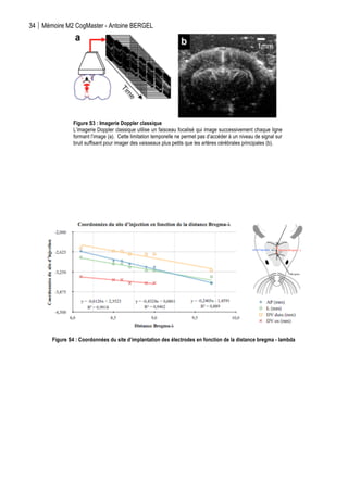 34 Mémoire M2 CogMaster - Antoine BERGEL
	
  
Figure S3 : Imagerie Doppler classique
L’imagerie Doppler classique utilise un faisceau focalisé qui image successivement chaque ligne
formant l’image (a). Cette limitation temporelle ne permet pas d’accéder à un niveau de signal sur
bruit suffisant pour imager des vaisseaux plus petits que les artères cérébrales principales (b).
Figure S4 : Coordonnées du site d’implantation des électrodes en fonction de la distance bregma - lambda
 