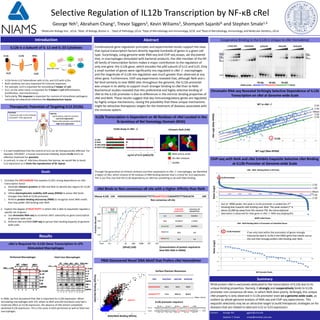 GGTTTT
Selective Regulation of IL12b Transcription by NF-κB cRel
George Yeh1, Abraham Chang1, Trevor Siggers2, Kevin Wiliams3, Shomyseh Sajanbi4, and Stephen Smale1,4
1Molecular Biology Inst., UCLA, 2Dept. of Biology, Boston U. , 3Dept.of Pathology, UCLA, 4Dept.of Microbiology and Immunology, UCSF, and 4Dept.of Microbiology, Immunology, and Molecular Genetics, UCLA
AbstractIntroduction
Summary
Combinatorial gene regulation principles and experimental results support the view
that typical transcription factors directly regulate hundreds of genes in a given cell
type. Surprisingly, using genome-wide RNA-seq and ChIP-seq assays, we discovered
that, in macrophages stimulated with bacterial products, the cRel member of the NF-
κB family of transcription factors makes a major contribution to the regulation of
only one gene: the IL12b gene, which encodes the p40 subunit of IL12 and IL23. Only
a small number of genes were significantly mis-regulated in cRel -/- macrophages
and the magnitude of IL12b mis-regulation was much greater than observed at any
other gene. Furthermore, ChIP-seq experiments revealed that, although RelA and c-
Rel bind similarly to over 8000 sites throughout the genome, the IL12b promoter
was unique in its ability to support much stronger binding to cRel than to RelA.
Biochemical studies revealed that this preferential and highly selective binding of
cRel to the IL12b promoter is due to differences in the intrinsic binding properties of
cRel and RelA. These results suggest that key immunoregulatory genes are regulated
by highly unique mechanisms, raising the possibility that these unique mechanisms
might be attractive therapeutic targets for the treatment of diseases associated with
the immune system.
Contact: George Yeh ggyeh@ucla.edu
Stephen T. Smale smale@mednet.ucla.edu
IL12b Transcription is Dependent on 46 Residues of cRel Located in the
N-terminus of Rel Homology Domain (RHD)
IL12b is a Subunit of IL-12 and IL-23 Cytokines
Cooperative Binding to the IL12b is Unique to cRel Homodimer
Therapeutic Potentials of Targeting IL12 (Il12b)
Goals
1. Elucidate the MECHANISM that explains IL12b’s strong dependence on cRel
transcription factor.
a. Generate chimeric proteins of cRel and RelA to identify key regions for IL12b
transcription.
b. Utilize electrophoretic mobility shift assay (EMSA) to prove cRel binds
stronger than RelA at IL12b promoter.
c. Perform protein binding microarray (PBM) to recognize novel DNA motifs
that may prefer cRel binding over RelA.
2. Explore the degree of SELECTIVITY in which cRel is able to exquisitely regulate a
specific set of genes.
a. Use chromatin RNA-seq to scrutinize cRel’s selectivity on gene transcription
at genome-wide scale.
b. Perform cRel and RelA ChIP-seq to peruse their binding disparity at genome-
wide scale.
NFκB protein cRel is exclusively dedicated to the transcription of IL12b due to its
unique binding properties. Namely, it strongly and cooperatively binds to IL12b
promoter non-consensus κB sites, to which RelA does poorly. Strikingly, this unique
cRel property is only observed in IL12b promoter even on a genome-wide scale, as
evident by whole-genome analysis of RNA-seq and ChIP-seq experiments. This
exquisite selectivity may be an attractive target to build therapeutic strategies on for
diseases that are related to aberrant IL12 or IL23 expression.
Through the generation of chimeric proteins and their expressions in cRel -/- macrophages, we identified
a region of cRel, which consists of 46 residues of DNA binding domain that is critical for IL12 expression.
This is our first clue that the IL12b dependency on cRel has something to do with DNA binding.
cRel is Required for IL12b Gene Transcription in LPS-
Stimulated Macrophages
• It is well-established that the control of IL12 can be therapeutically affective. For
example, STELARA®, a human monoclonal antibody, blocks IL12b and is an
effective treatment for psoriasis.
• In contrast, in case of infectious diseases like leprosy, we would like to boost
IL12 expression as it limits the reproduction of M. leprae.
In 2000, we first discovered that cRel is important for IL12b expression. When
stimulating macrophages with LPS, where as RelA and p50 knockouts only had a
moderate effect on IL12b expression, the absence of cRel almost completely
abolished IL12b expression. This is the same in both peritoneal as well as fetal liver
macrophages.
IL12a Il23aIL12b
IL12 IL23
Naïve CD4+ T Cell
Th1
Th17
Th2
IL-6
TGFβ
IL-23
• IL12b forms IL12 heterodimer with IL12a, and IL23 with IL23a.
• Both cytokines are very important for immune responses.
• For example, IL23 is important for stimulating T helper 17 cell.
• IL12, on the other hand, is important for T helper 1 cell differentiation,
proliferation, and maintenance.
• Particularly, Th1 response is important for controls of intracellular pathogens,
including microbacterial infections like Mycobacterium leprae.
Psoriasis
- Treatment with IL12b antibody
(STELARA®; FDA approved)
Leprosy
- Lepromatous patients (severe)
- Low IL12 expression
- Tuberculoid patients (controlled)
- High IL12 expression
Results
Peritoneal Fetal-liver derivedPeritoneal Macrophages Fetal Liver Macrophages
PBM Discovered Novel DNA Motif that Prefers cRel Homodimer
1) cRel
TD
4) RelA (C46)
3) cRel (A46)
0 5 10 15 20
ng/ml of IL12 (p40/p70)
2) RelA
RHD(N)
Chimeric RelA (C46)
RelA amino acids
46 cRel residues
dsDNA
ELISA Assay in cRel -/-
cRel Binds to Non-consensus κB site with a Higher Affinity than RelA
IL12b (κB2)
AAAATTCCCC
Consensus κB
GGAAATTCCC
cRel 1.2±0.1 0.4±0.1
RelA 51.4±6.5 1.1±0.1
RelA(C46) 4.4±0.4 0.8±0.1
RelA/cRel 42.8 2.8
RelA/(C46) 11.7 1.4
FractionBound
[NFκB] (nM)
RelA
cRel
RelA (C46)
(Concentration of protein required to
bind 50% DNA in EMSA)
Mouse IL12b -154 AGGGGGGGAGGGAGGAACTTCTTAAAATTCCCCCAGAATGTTTTGACACTA -104
Surface Plasmon Resonance
Offrate - t1/2 (s)
RelA/RelA Binding Affinity
cRel/cRelBindingAffinity
DNA RelA/RelA cRel/cRel RelA(C46)
GGGGGGAGAT 4±1 4±1 8±5
GGGGGTTTTT 7±1 58±11 28±6
IL12b promoter sequence
NF-kB 1 NF-kB 2 NF-kB 3 NF-kB 4 C/EBP
Mouse GGAGGAACTTCTTAAAATTCCCCCAGAATGTTTTGACACTAGTTTTCAGTGTTGCAATTGAGACTAG
*********** ************** ******* * * ******* ******** * **
Human AAAGGAACTTCTTGAAATTCCCCCAGAAGGTTTTGAGAGTTGTTTTCAATGTTGCAA------CAAG
-125/-116 -115/-106 -104/-95 -92/-83 -80/-72
NF-kB1 NF-kB2 NF-kB3
EMSA probe - AGGAACTTCTTAAAATTCCCCCAGAATGTTTTGACA
RelA/RelA p50/p50 RelA/p50cRel/p50c-Rel/c-Rel
Chromatin RNA-seq Revealed Strikingly Selective Dependence of IL12b
Transcription on cRel at Genome-wide Scale
IL12b
1 SD
Mean
1 SD
2 SD
2 SD
WT vs cRel -/-
WT Log2 (Max RPKM)
cRelLog2(MaxRPKM)
ChIP-seq with RelA and cRel Exhibits Exquisite Selective cRel Binding
at IL12b Promoter at Genome-wide Scale
1 SD
2 SD
1 SD
2 SD
IL12b Promoter
Mean
cRel : RelA Binding Ratio in All Peaks
8669 Called Peaks
cRel : RelA Binding Ratio in Promoters of Inducible Genes
IL12b Promoter
38 Promoter Peaks
Non-consensus κB site
Ratio(Log2)Ratio(Log2)
Out of ~8000 peaks, the peak in IL12b promoter is ranked the 2nd
showing bias towards cRel binding over RelA. The peak ranked 1st is
about 22,000 bp away from the nearest TSS. No transcriptional
aberration is observed for that gene in cRel -/- RNA-seq (Arghap35).
If we only look within the promoters of genes strongly
induced by lipid A, IL12b is the ONLY gene that stands out as
the one that strongly prefers cRel binding over RelA.
 