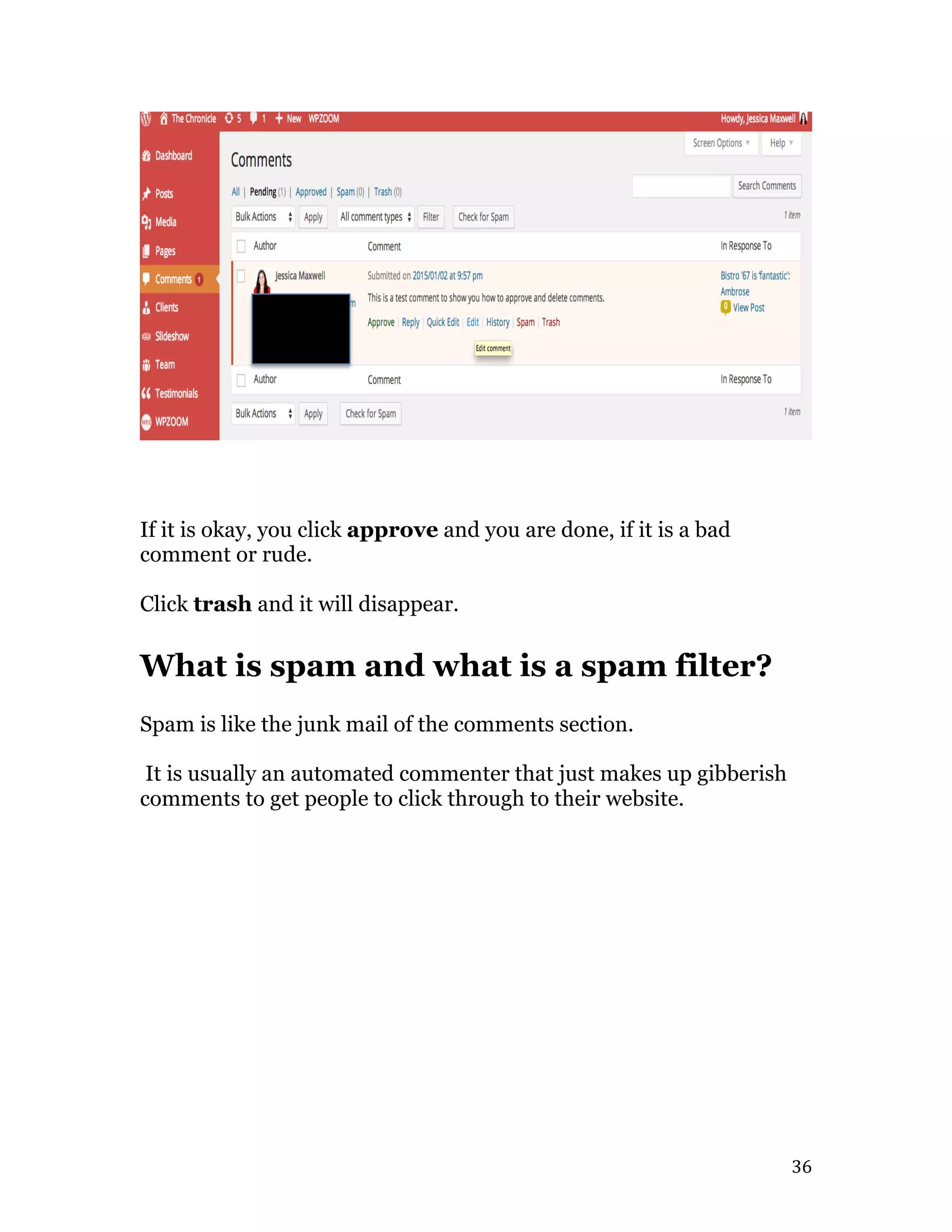   36	
  
If it is okay, you click approve and you are done, if it is a bad
comment or rude.
Click trash and it will disappear.
What is spam and what is a spam filter?
Spam is like the junk mail of the comments section.
It is usually an automated commenter that just makes up gibberish
comments to get people to click through to their website.
 