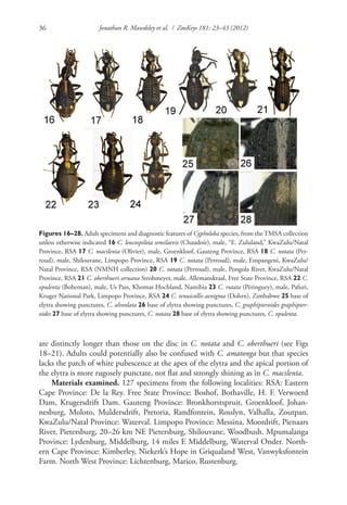 2984-G-3-layout | PDF