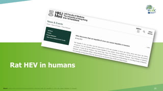 Rat HEV in humans
10Source: https://www.med.hku.hk/news/press/HKU_discovers_that_rat_hepatitis_E_virus_can_cause_hepatitis_in_humans
 