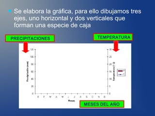    Se elabora la gráfica, para ello dibujamos tres
    ejes, uno horizontal y dos verticales que
    forman una especie de caja

PRECIPITACIONES                   TEMPERATURA




                             MESES DEL AÑO
 