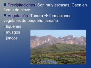  Precipitaciones: Son muy escasas. Caen en
forma de nieve.
 Vegetación: Tundra  formaciones
vegetales de pequeño tamaño
• líquenes
• musgos
• juncos
 