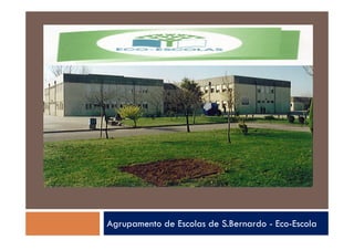 Agrupamento de Escolas de S.Bernardo - Eco-Escola
 