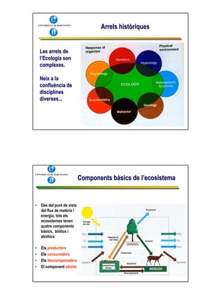 1 Ecologiai Ecosistemes