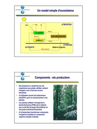 1 Ecologiai Ecosistemes