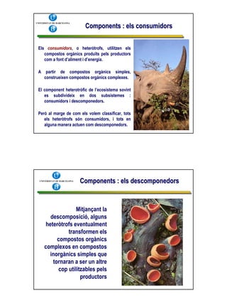 1 Ecologiai Ecosistemes