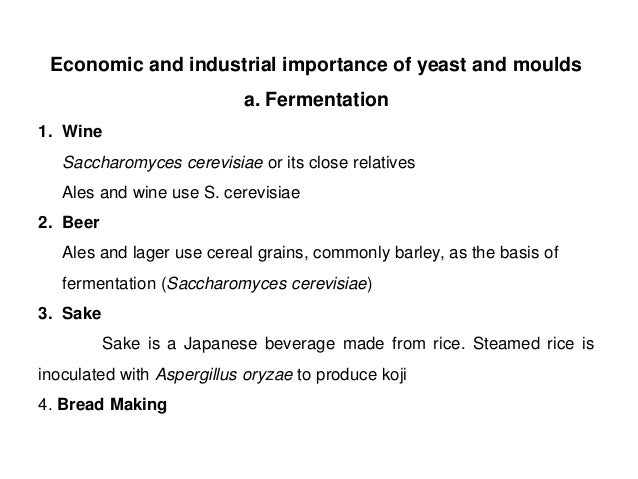 Economic And Industrial Importance Of Fungi