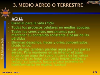 3. MEDIO AÉREO O TERRESTRE AGUA Esencial para la vida (75%) Todas los procesos celulares en medios acuosos Todos los seres vivos mecanismos para mantener su contenido constante a pesar de las pérdidas Eliminan desechos, heces y orina concentrados.(ácido úrico) Las plantas también pierden agua por sus partes aéreas. Para mantener en su interior el agua incorporan agua del suelo a través de las raíces o recubrir las hojas con ceras impermeables y reducir su tamaño, hasta el caso extremo de transformarlas en espina. (cactus) 