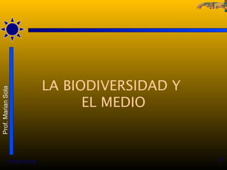 LA BIODIVERSIDAD Y
Prof. Marian Sola




                                 EL MEDIO



          27/01/13 09:59                        1
 