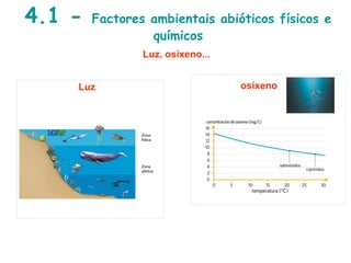 4.1 - Factores ambientais abióticos físicos e
químicos
Luz, osíxeno...
Zona
fótica
Luz osíxeno
vento
Zona
afótica
 