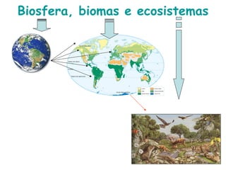 Biosfera, biomas e ecosistemas
 