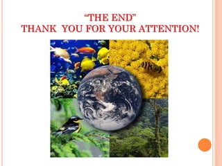“THE END”
THANK YOU FOR YOUR ATTENTION!
 