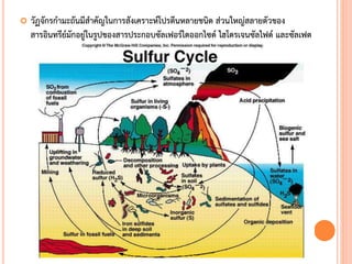  วัฏจักรกามะถันมีสาคัญในการสังเคราะห์โปรตีนหลายชนิด ส่วนใหญ่สลายตัวของ
สารอินทรีย์มักอยู่ในรูปของสารประกอบซัลเฟอร์ไดออกไซด์ ไฮโดรเจนซัลไฟด์ และซัลเฟต
 